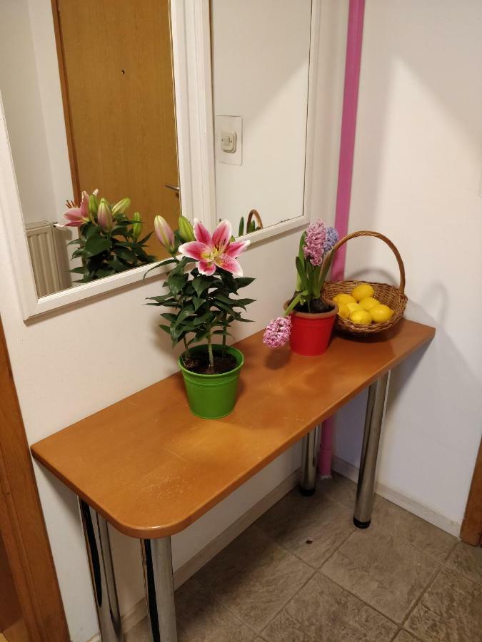 Savski Gaj Zagabria Esterno foto