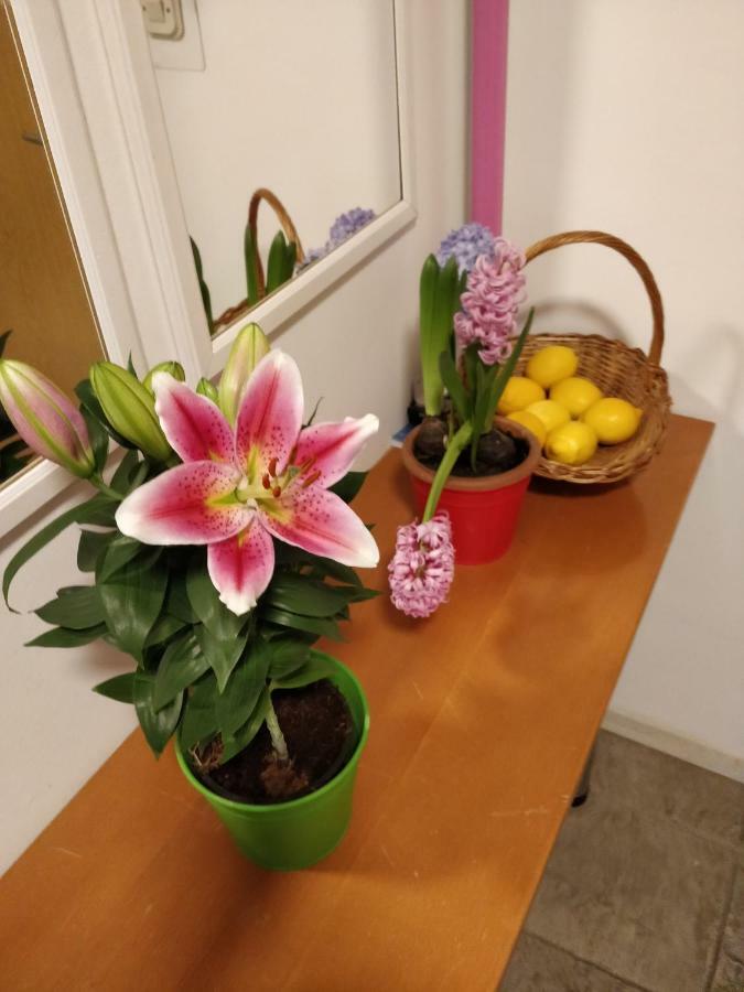 Savski Gaj Zagabria Esterno foto